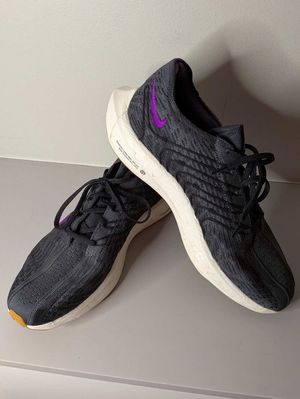 Nike Pegasus Running Shoe